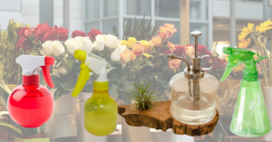 Florist Tools Best Practice For Flower Hydration