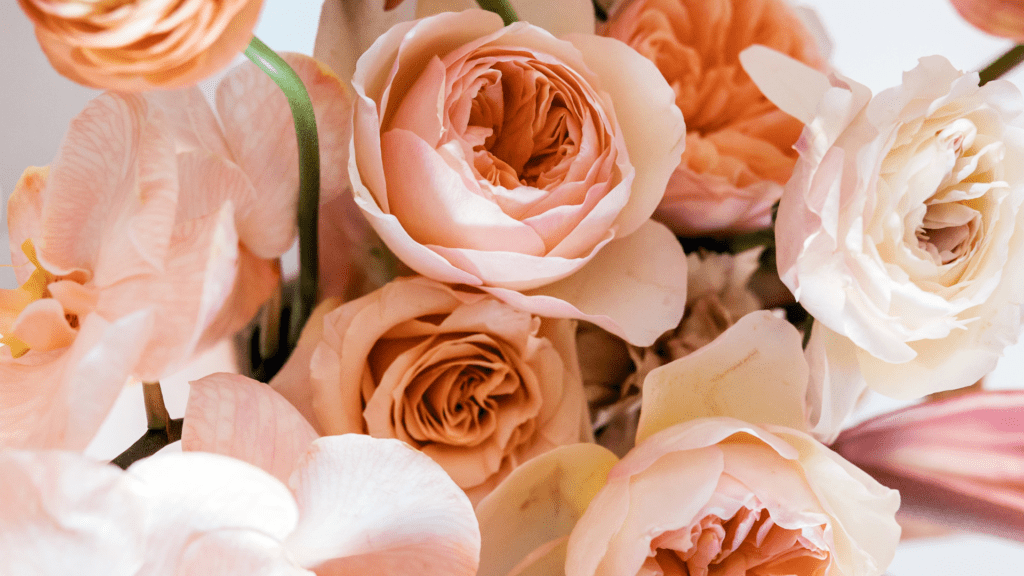 Peach Juliet Roses, Peach Orchids, peach coronations