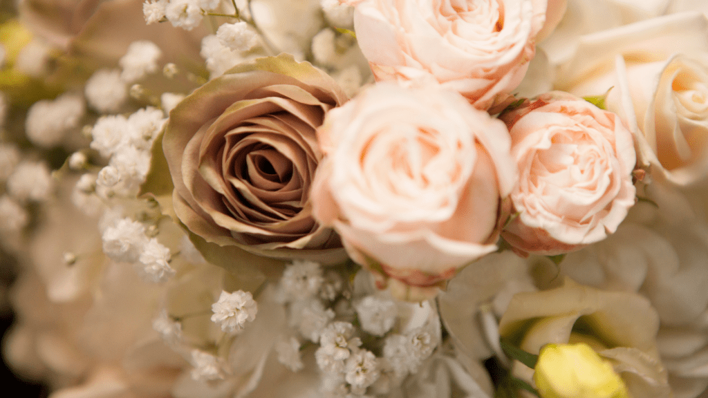 Pink and peach roses with baby's breath