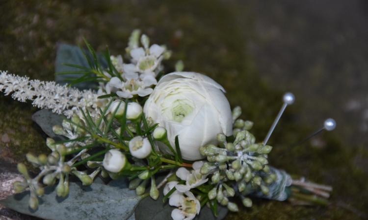 White ranunculus boutonniere