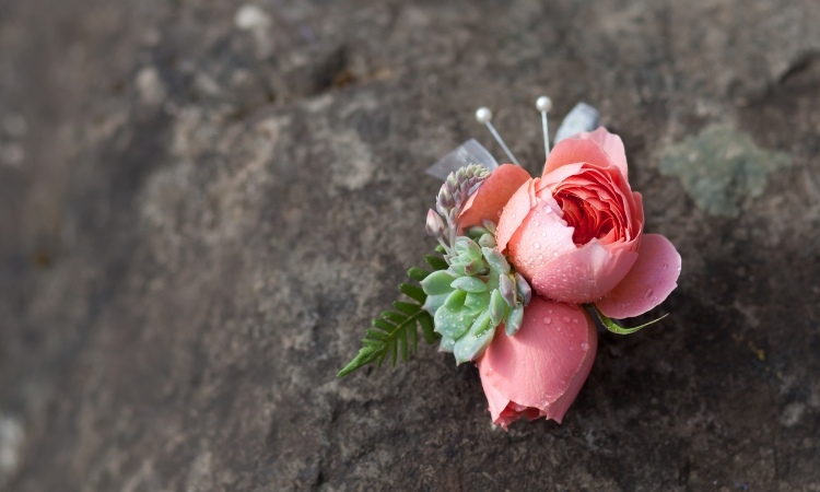 Peach Ranunculus with a tree