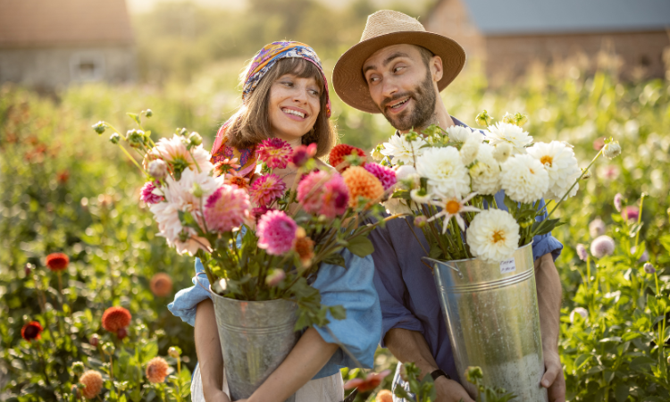 Flowers, beautiful, colors, support. people, wedding florists