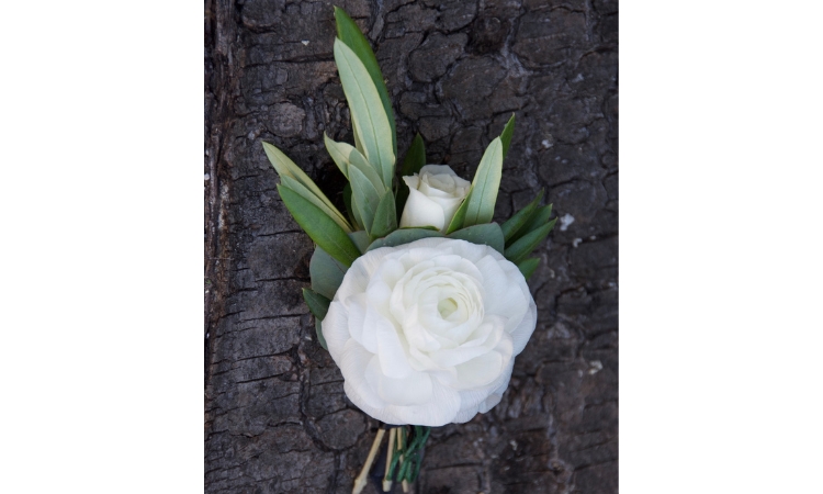 White ranunculus with white spray rose harvest ranunculus