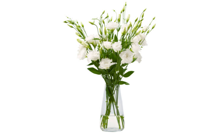 White Lisianthus Prepared For Bouquet After Cleaning