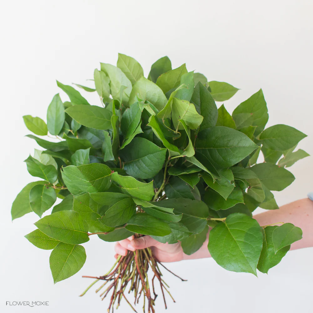 Floral Wholesale Grower's Greenery Bunch