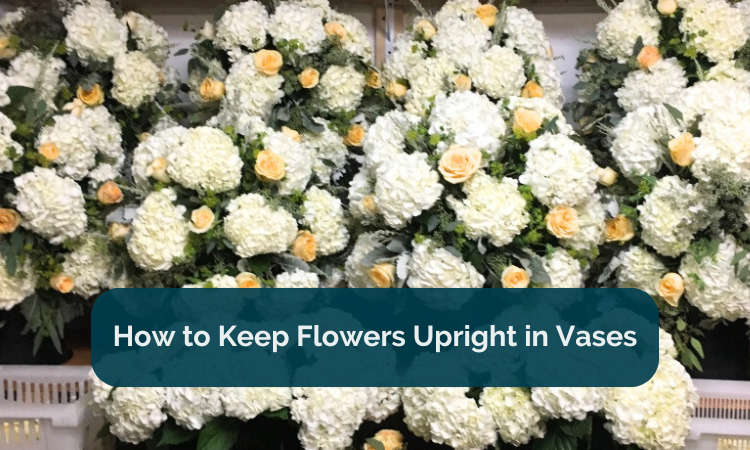 How to Keep Flowers Upright in Vases